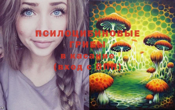apvp Верея