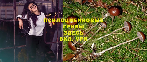 MDMA Верхний Тагил