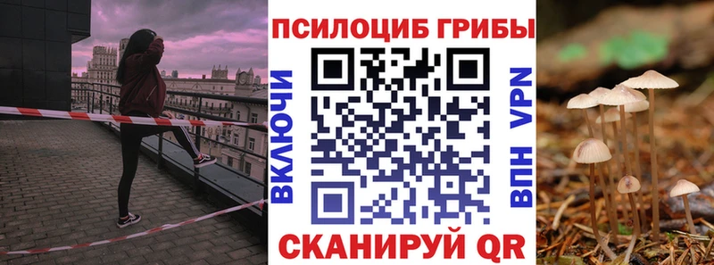 shop клад  дарнет шоп  Любань  Псилоцибиновые грибы Psilocybe 
